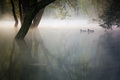 Ghosts in the &hellip;