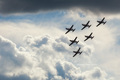 Wings of the S&hellip;