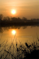 Morning Simpli&hellip;