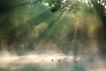 Quest for Holy&hellip;