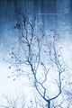 Forest for the&hellip;