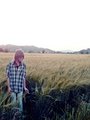 Fields of gold.