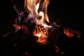 Hold My Fire I&hellip;