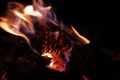 HoLd My FiRe I&hellip;
