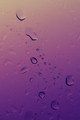 PurpleRainOnMy&hellip;