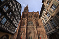 Strasbourg cat&hellip;