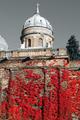 Mirogoj u crve&hellip;