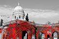 Mirogoj u crve&hellip;