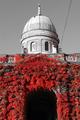 Mirogoj u crve&hellip;
