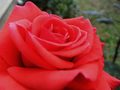 Sretno Valenti&hellip;