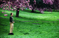 Central Park .&hellip;