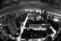 Concrete Jungle
