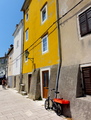 Yellow-Red