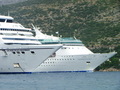 Seven Seas Mar&hellip;