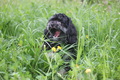 I Love Spring &hellip;