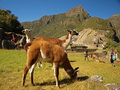 Cuvari Machu P&hellip;