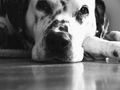 Peggy - moja n&hellip;