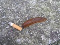 Zabranjeno puš&hellip;