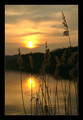 Zalazak nad tr&hellip;
