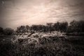 The past stuck&hellip;