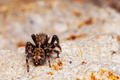 Možda jumper..&hellip;