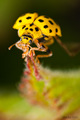 Ready to fly a&hellip;