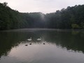 magla nad jeze&hellip;