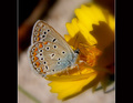Inspiracija u &hellip;