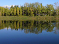 Zeleno-modri s&hellip;