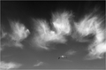Flying with An&hellip;