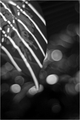 Music of Light&hellip;