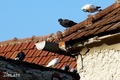 na dvije razin&hellip;