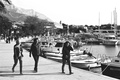 Baškovoška šen&hellip;