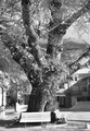 Baškovoške ved&hellip;