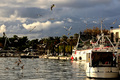 Balada o galeb&hellip;
