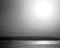 Brejanski riba&hellip;
