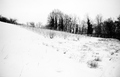 Foto-grafika -&hellip;