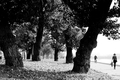 Jarun - detalj&hellip;