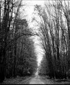 Long way you r&hellip;