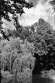 Maksimir, 06/2&hellip;