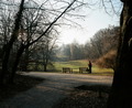 Maksimir, 2/20&hellip;
