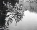 Maksimirska ve&hellip;
