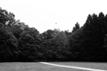 Maksimir vedut&hellip;