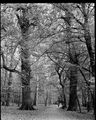 Park Maksimir.&hellip;