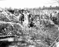 Plitvice-1/201&hellip;