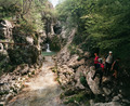 Priroda i druš&hellip;