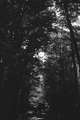 The dark side &hellip;