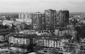 Urbana džungla&hellip;