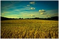 Earth, Sky and&hellip;