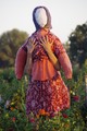 abused scarecr&hellip;